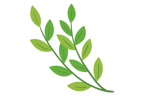 Botanical Element. Decorative Green Bran: A Designer's Fresh Take