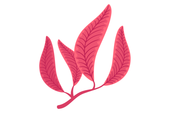 Red Leaves Branch: Decorative Botany for Modern Design